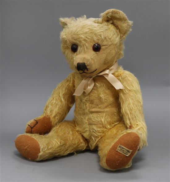 A 1930s Merrythought teddy bear, Chester, with golden mohair, large deep amber and black glass eyes, pronounced